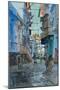 Blue Back Street, Udaipur, 2013-Peter Brown-Mounted Giclee Print