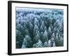 Blue Background Texture of a Frozen Forest at Winter, Aerial Shot-null-Framed Photographic Print