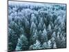 Blue Background Texture of a Frozen Forest at Winter, Aerial Shot-null-Mounted Photographic Print