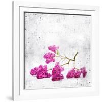 Blue Background with Lilac Flowers-Elena Larina-Framed Art Print