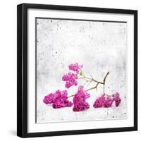 Blue Background with Lilac Flowers-Elena Larina-Framed Art Print