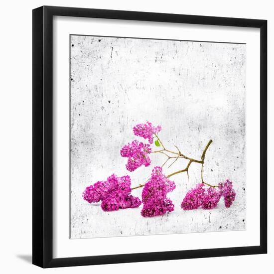 Blue Background with Lilac Flowers-Elena Larina-Framed Art Print