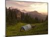 Blue backpacking tent in the Tatoosh Wilderness, Washington State, USA-Janis Miglavs-Mounted Photographic Print