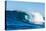 Blue Barrel-Powerful wave breaking off a beach, Hawaii-Mark A Johnson-Stretched Canvas