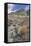 Blue Basin Unit-Steve Terrill-Framed Stretched Canvas