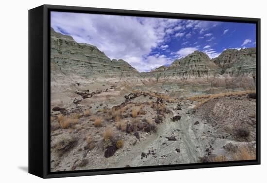 Blue Basin Unit-Steve Terrill-Framed Stretched Canvas