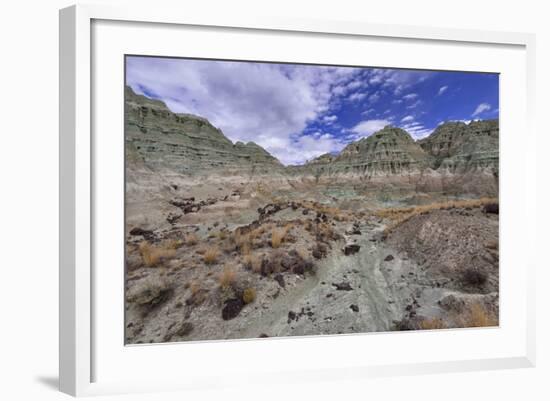 Blue Basin Unit-Steve Terrill-Framed Photographic Print