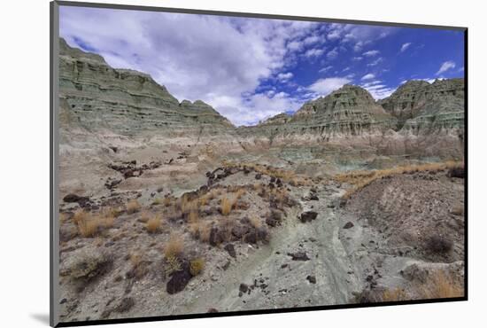 Blue Basin Unit-Steve Terrill-Mounted Photographic Print