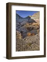 Blue Basin Unit-Steve Terrill-Framed Photographic Print