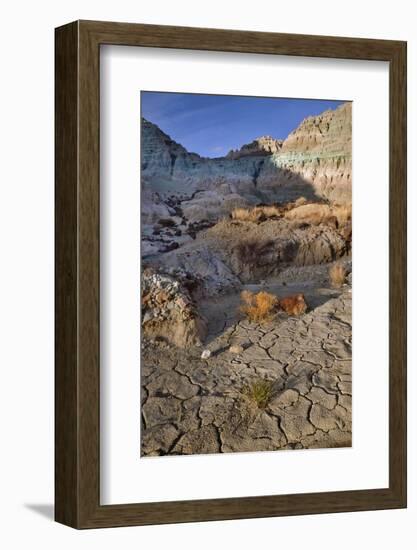 Blue Basin Unit-Steve Terrill-Framed Photographic Print