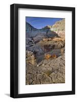 Blue Basin Unit-Steve Terrill-Framed Photographic Print