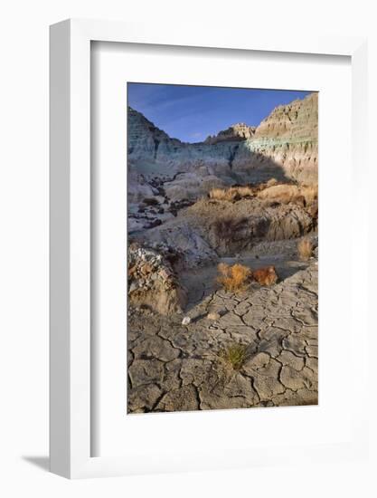 Blue Basin Unit-Steve Terrill-Framed Photographic Print