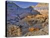 Blue Basin-Steve Terrill-Stretched Canvas