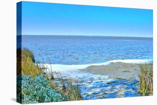 Blue Beach Scene at Outer Banks-Martina Bleichner-Stretched Canvas