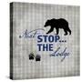 Blue Bear Lodge Sign 02-LightBoxJournal-Stretched Canvas