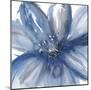 Blue Beauty I-Rebecca Meyers-Mounted Giclee Print