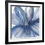 Blue Beauty I-Rebecca Meyers-Framed Giclee Print