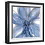 Blue Beauty II-Rebecca Meyers-Framed Giclee Print