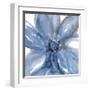 Blue Beauty II-Rebecca Meyers-Framed Giclee Print