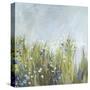 Blue Bells Field-Asia Jensen-Stretched Canvas