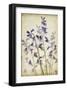 Blue Bells-Judy Stalus-Framed Art Print