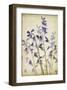 Blue Bells-Judy Stalus-Framed Art Print