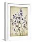 Blue Bells-Judy Stalus-Framed Art Print