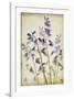 Blue Bells-Judy Stalus-Framed Art Print