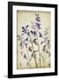 Blue Bells-Judy Stalus-Framed Art Print