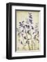 Blue Bells-Judy Stalus-Framed Art Print