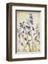 Blue Bells-Judy Stalus-Framed Art Print