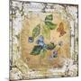 Blue Berries And Butterfly Tin Tile-Jean Plout-Mounted Giclee Print