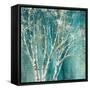 Blue Birch Flipped-Julia Purinton-Framed Stretched Canvas