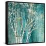 Blue Birch Flipped-Julia Purinton-Framed Stretched Canvas