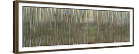 Blue Birch Forest II-Norman Wyatt Jr.-Framed Premium Giclee Print