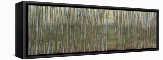 Blue Birch Forest II-Norman Wyatt Jr.-Framed Stretched Canvas