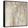 Blue Birch Neutral-Julia Purinton-Framed Stretched Canvas