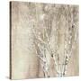 Blue Birch Neutral-Julia Purinton-Stretched Canvas