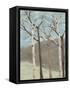 Blue Birches II-Jade Reynolds-Framed Stretched Canvas