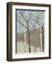 Blue Birches II-Jade Reynolds-Framed Art Print