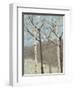 Blue Birches II-Jade Reynolds-Framed Art Print