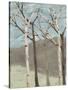 Blue Birches II-Jade Reynolds-Stretched Canvas