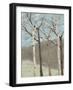 Blue Birches II-Jade Reynolds-Framed Art Print