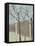 Blue Birches II-Jade Reynolds-Framed Stretched Canvas