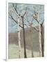 Blue Birches II-Jade Reynolds-Framed Art Print
