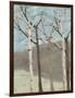 Blue Birches II-Jade Reynolds-Framed Art Print