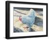 Blue Bird, 1986-Sandra Lawrence-Framed Giclee Print