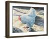 Blue Bird, 1986-Sandra Lawrence-Framed Giclee Print