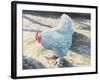 Blue Bird, 1986-Sandra Lawrence-Framed Giclee Print