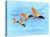 Blue Bird 2A2-Ata Alishahi-Stretched Canvas